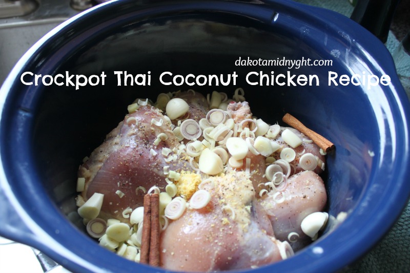 Crockpot Thai Chicken Recipe | DakotaMidnyght.com