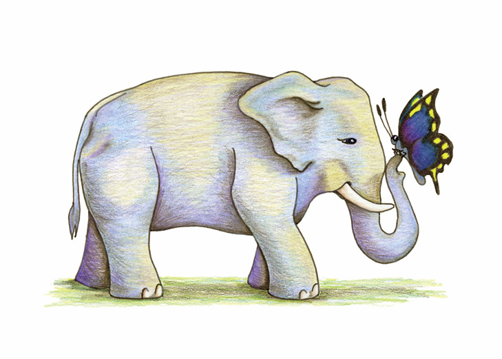 Elephant with Butterfly - Dakota Midnyght